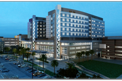 Jennie Sealy Hospital